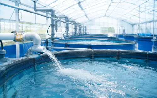 水産業の方