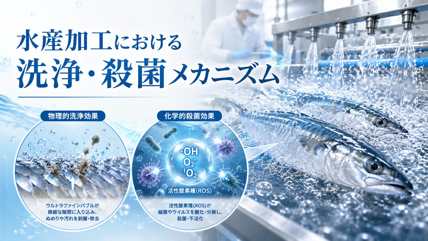 水産加工における洗浄殺菌メカニズム